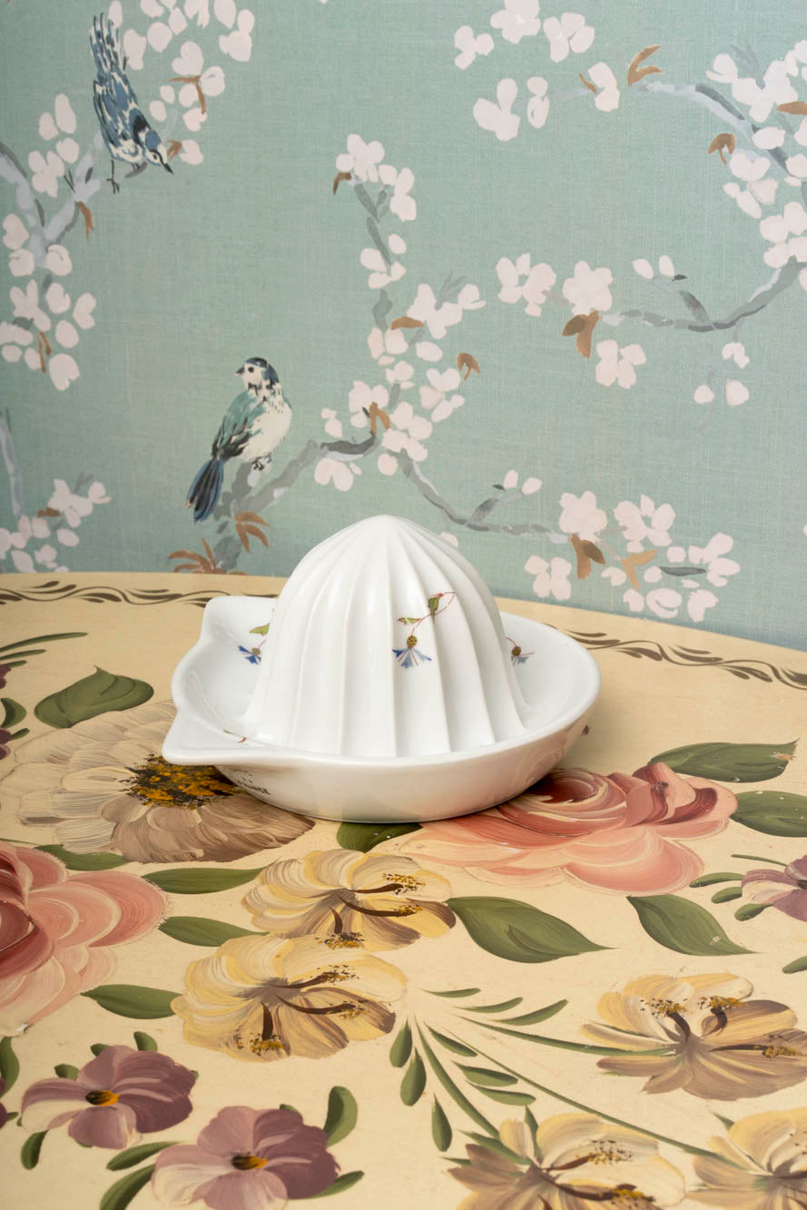 French Porcelain Juicer