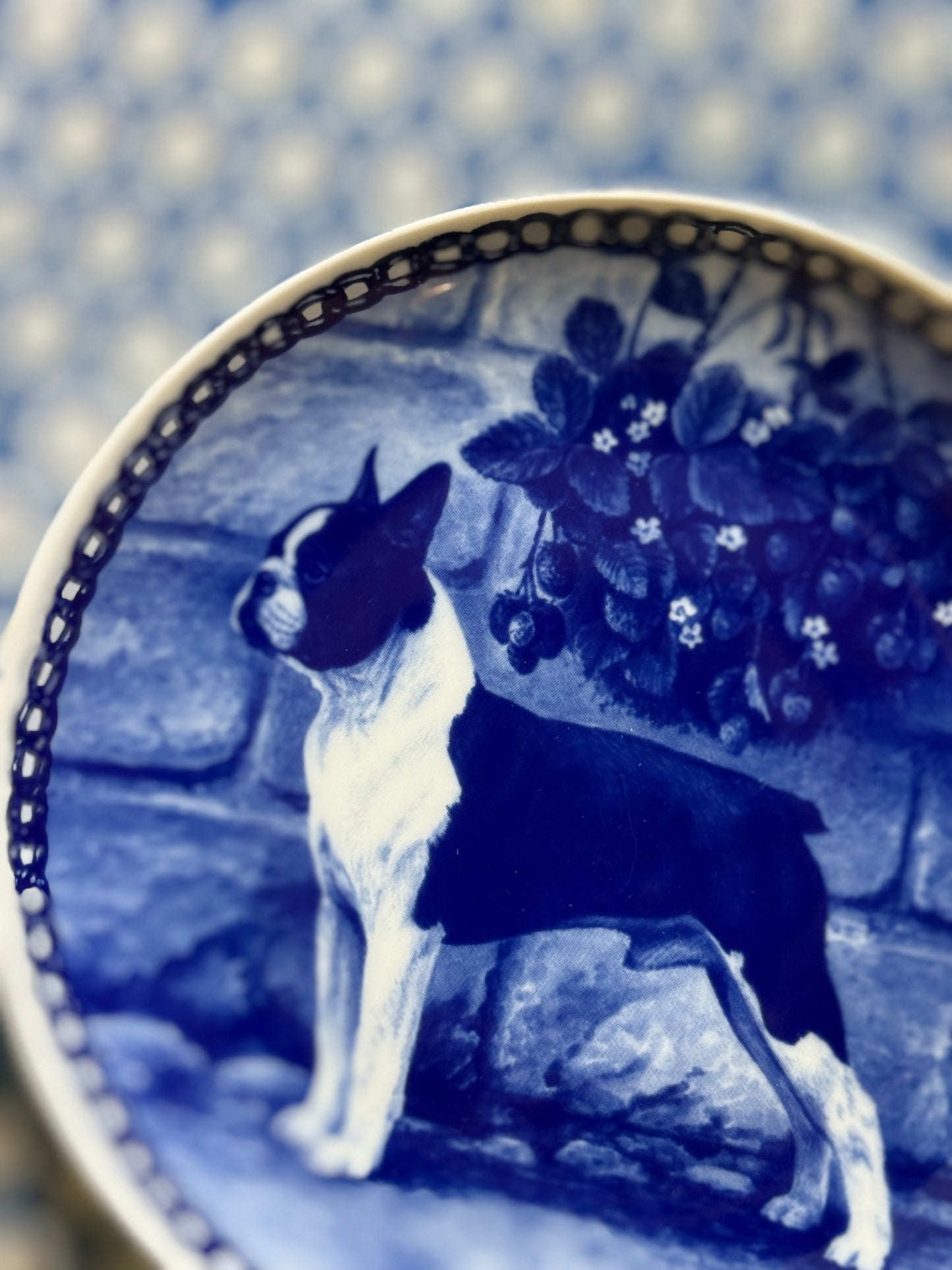 Danish Boston Terrier Blue and White Plate