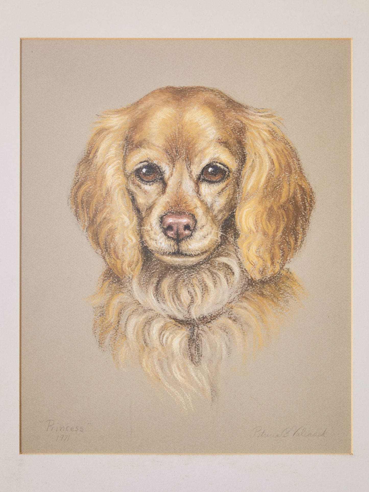 1970s Pastel Dog Portrait