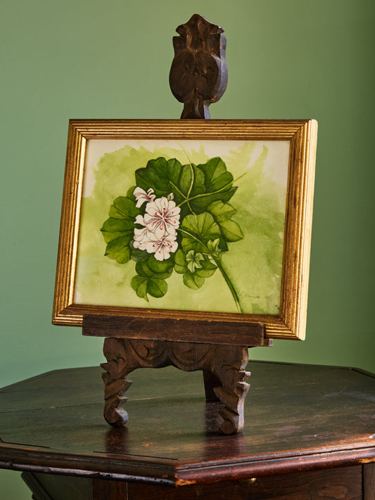 Vintage Geranium Watercolor