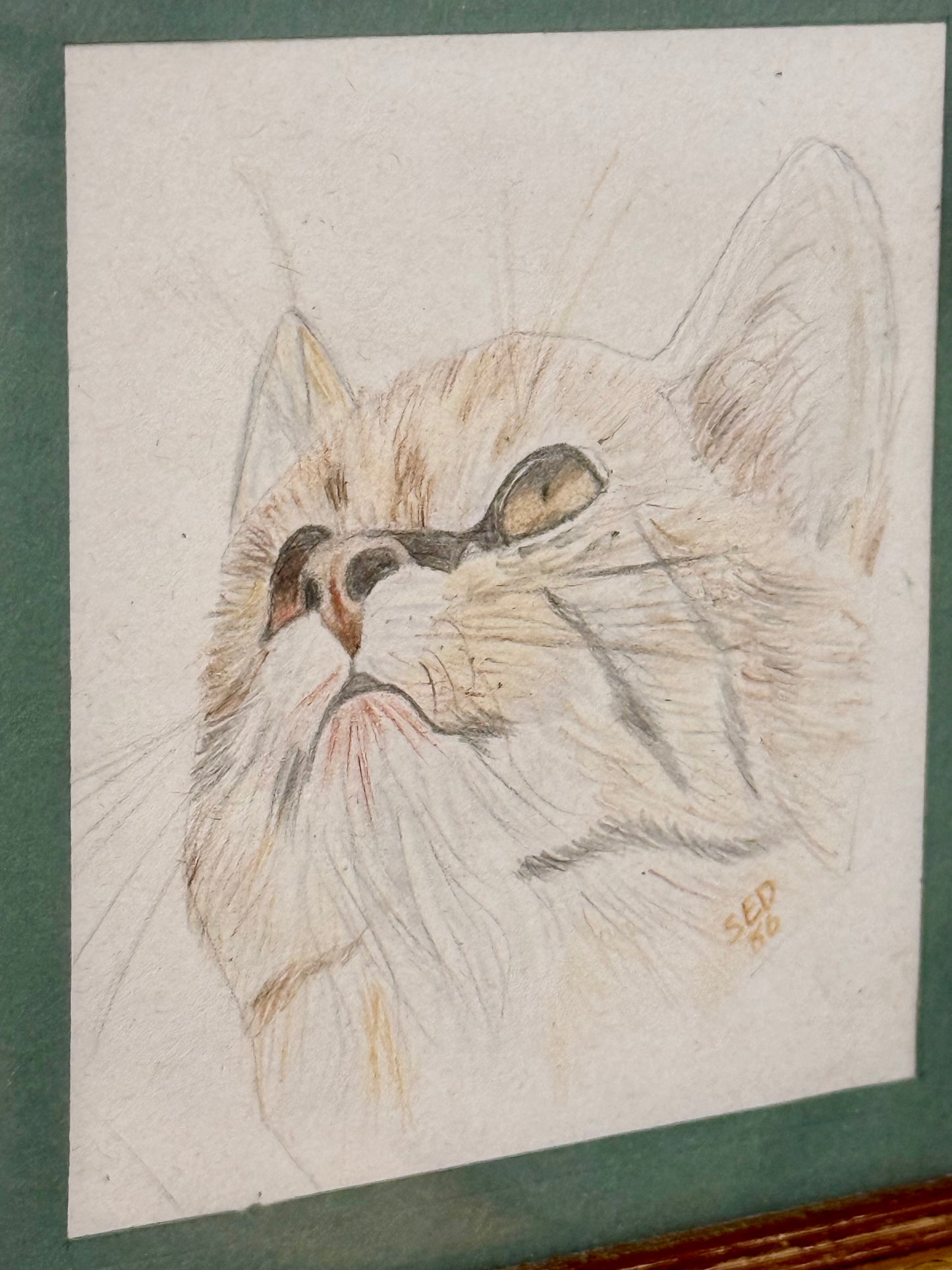 Vintage Kitten Portrait